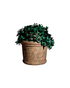 Rubbermaid / United Receptacle FGFGPF2419SAH Milan Collection Fiberglass Planter - 24" Dia. x 19" H - Sahara in color